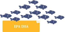 EPA DHA